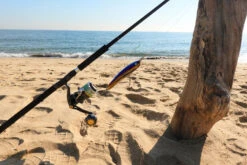 2021 Hibiki X Livre Lapis 210 -Visuitrusting Winkel 131406150 2856330524611631 6413050811572976695 n