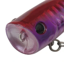 Palms Turnpop Popper -Visuitrusting Winkel 1 f87f1561 a5c6 44c5 a8b6 58b4dc1e872b