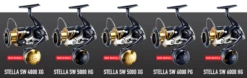 2020 Shimano STELLA SW -Visuitrusting Winkel 2020 STELLA 2 e29b84f4 5ae3 4037 911f f0c43107530b