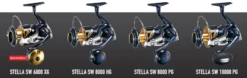 2020 Shimano STELLA SW -Visuitrusting Winkel 2020 STELLA 3 d89a4ce7 d91c 4c09 857b 70f38d01c092