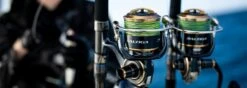Daiwa 2020 Saltiga -Visuitrusting Winkel 2020 Saltiga 7 0601d46b 8e59 4478 9191 0bb59a213d8f