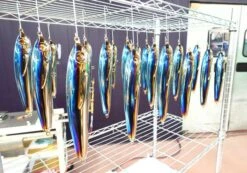 2021 Hibiki X Livre Lapis 210 -Visuitrusting Winkel 204242305 2991213847789964 4056392267686799193 n