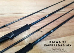 Daiwa 2020 Emeraldas MX Eging Rod -Visuitrusting Winkel 2 1174aa65 c77a 4170 8915 58257837e523
