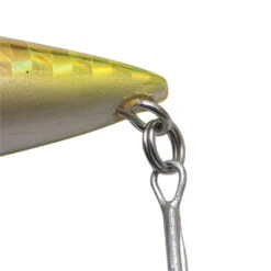 Palms Turnpop Popper -Visuitrusting Winkel 2 a1a7ba6b 11ef 4fb5 b036 c30550db6e55