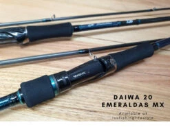 Daiwa 2020 Emeraldas MX Eging Rod -Visuitrusting Winkel 3 1fcd4749 7c65 4365 ad94 af76c77cb721