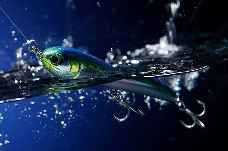 Maria Rapido 190mm 65g Floating Stickbait 3 Maria Rapido 190mm 65g Floating Stickbait