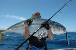 CB One Zorro 240 -Visuitrusting Winkel 45709299 471206773406325 194177232388751360 n f62d9d8b feab 4375 a768 946b150db351