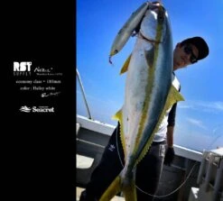 RST Supply Nezul 180 Economy Class -Visuitrusting Winkel 66041383 1397133110460349 3456141223841656685 n 67b35ce7 1ab8 45ea 9280 d1ef0f844d9d