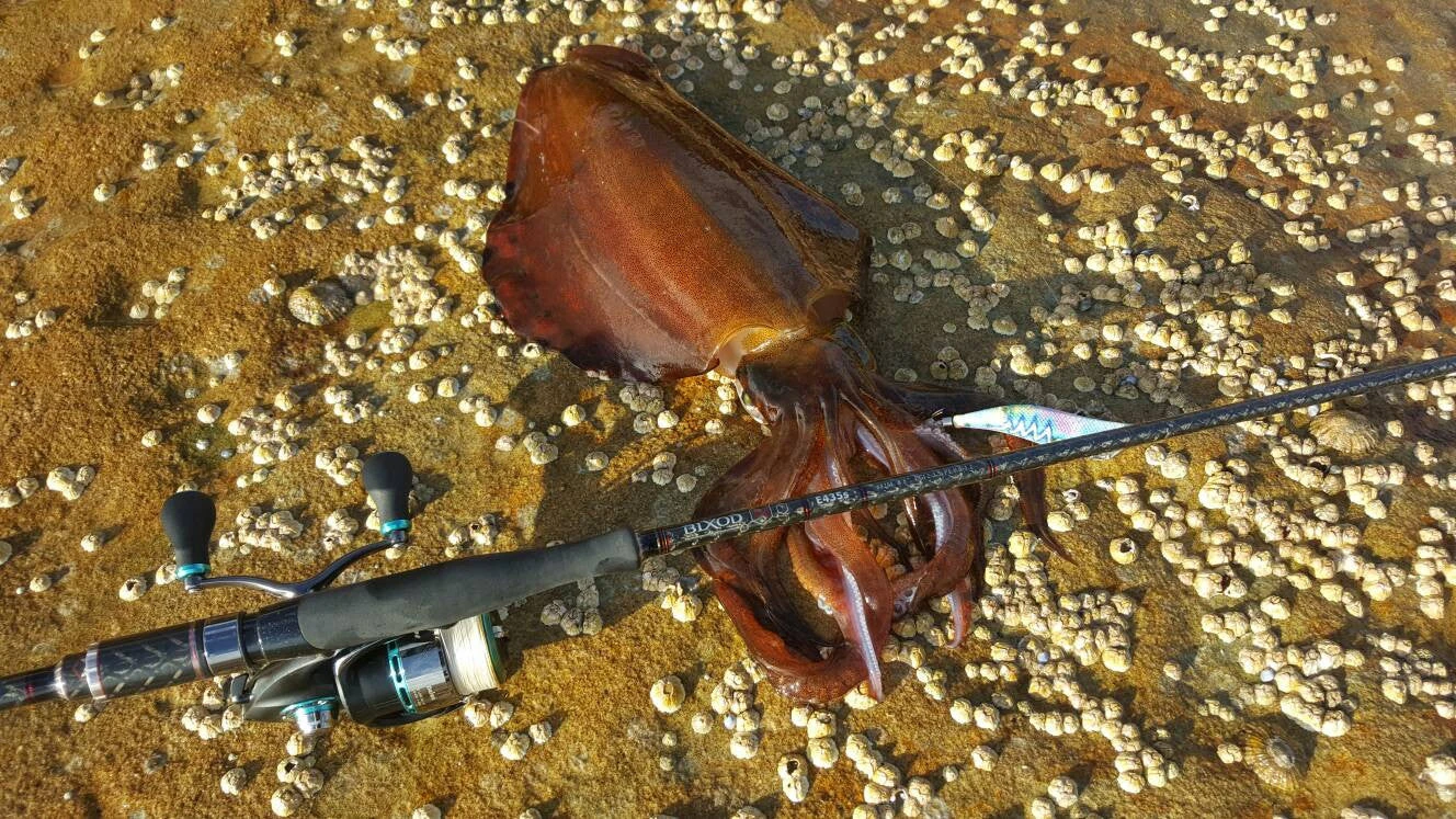 Delux Amigo Super PE Braid 300m Spool 10 Delux Amigo Super PE Braid 300m Spool - Afbeelding 8