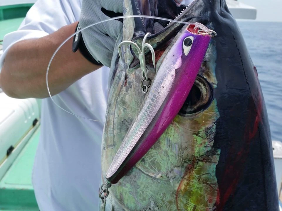 CB One 2022 Dixon 200mm 8 CB One 2022 Dixon 200mm - Afbeelding 6