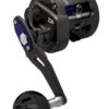 Daiwa Saltiga Bay Jigging Overhead -Visuitrusting Winkel DAIWA SALTIGA BAY JIGGING OVERHEAD