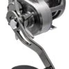 Daiwa Saltiga Star Drag Overhead -Visuitrusting Winkel DAIWA SALTIGA STAR DRAG OVERHEAD