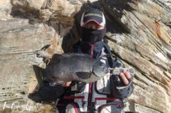 Sunline V-Hard Fluorocarbon Leader 50m -Visuitrusting Winkel DSC0038 7