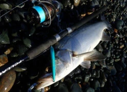 FCL LABO UC11.5ft 2S (Double S) (Spinning) -Visuitrusting Winkel FCLLaboUC11.5ft2S5