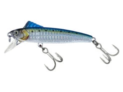 Molix HDM 90B -Visuitrusting Winkel HDM 90B SW19 Real Sarda