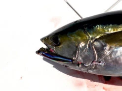 2022 Hibiki X Livre Xicara 200 -Visuitrusting Winkel HibikiXLivreXicara2007