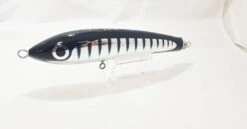 Carpenter Bluefish BF 60 - 170 Diablo Black Silver Stripe Gold Eye