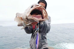 Oceans Legacy Hybrid Contact Jig Rigged 14 Oceans Legacy Hybrid Contact Jig Rigged -Visuitrusting Winkel IMG 9479 5b257b8a f5d7 4c9d 8eed ba3036ffae2a