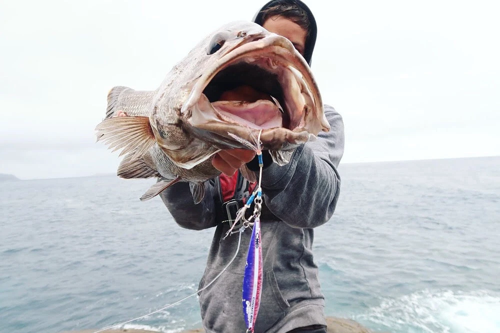 Oceans Legacy Hybrid Contact Jig Rigged 6 Oceans Legacy Hybrid Contact Jig Rigged - Afbeelding 4