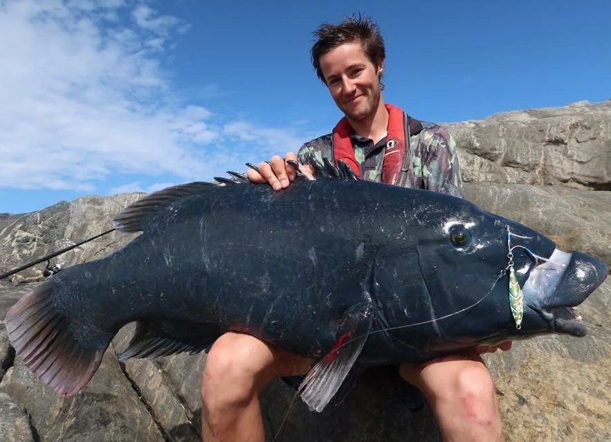 Ocean's Legacy 2020 Specialist Shore Rods (Spin) 7 Ocean's Legacy 2020 Specialist Shore Rods (Spin) - Afbeelding 5