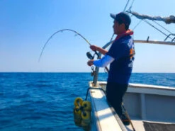 MC Works 2022 Magic Trigger 653LR SP -Visuitrusting Winkel MT653LR 2 300x225 1