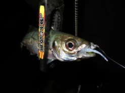 Magbite Aji Killer Feel Jighead - MB09 12 Magbite Aji Killer Feel Jighead - MB09 -Visuitrusting Winkel MagbiteMB094