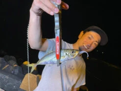 Magbite Aji Killer Feel Jighead - MB09 15 Magbite Aji Killer Feel Jighead - MB09 -Visuitrusting Winkel MagbiteMB097