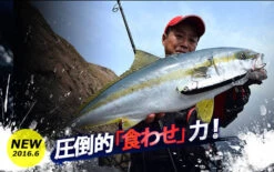 Maria Rapido 160mm 50g Floating Stickbait -Visuitrusting Winkel Rapido F160 ima3