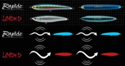 Maria Rapido 160mm 50g Floating Stickbait -Visuitrusting Winkel Rapido F160 ima4