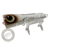 ASWB Reefs Edge Roey Pop 40G -Visuitrusting Winkel ReefsEdge