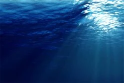 Ripple Fisher Runner Exceed 103H 25th Anniversary Christmas Limited Edition 11 Ripple Fisher Runner Exceed 103H 25th Anniversary Christmas Limited Edition -Visuitrusting Winkel RippleFisherRunnerExceed103H25thAnniversaryChristmasLimitedEdition