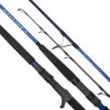 Daiwa Saltist X Fishing Rod -Visuitrusting Winkel Saltist X 71b7a64c 5619 4c68 9d76 5e77aa91e4f6