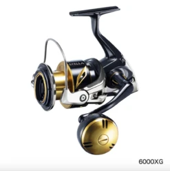 2020 Shimano STELLA SW -Visuitrusting Winkel Shimano 2020 Stella SW6000XGC