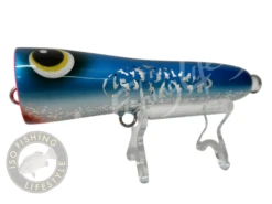 ASWB Reefs Edge Roey Pop 40G -Visuitrusting Winkel SolarFireSardine