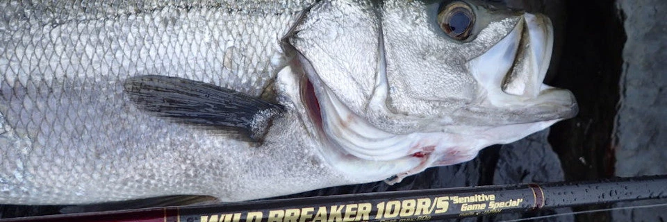 MC Works 2022 Wild Breaker 108RS (Special) 6 MC Works 2022 Wild Breaker 108RS (Special) - Afbeelding 4