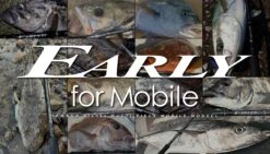 Yamaga Blanks Early For Mobile 96MMH Travel Rod