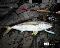 2020 RST Supply Nezul 180 Economy Class -Visuitrusting Winkel dasdasdasdasasdsadas