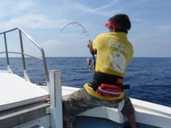 MC Works Explosion 818XX (Special Model) -Visuitrusting Winkel explosion 818XX SP thumbnail