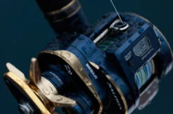 2021 Daiwa Saltiga IC -Visuitrusting Winkel field09