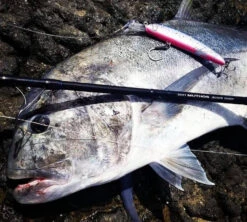 2019 Maria Boar SS195 85g -Visuitrusting Winkel image 0dff7fc8 75f4 41cc 8ed4 0b22d82807d2