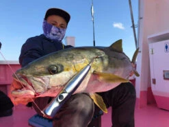 2021 CB ONE Bazoo 200mm 96g -Visuitrusting Winkel image 1cfc4496 6391 45f0 a376 999a94c05724