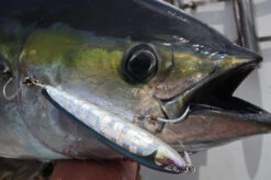 2019 CB One Ryan 230mm 130g -Visuitrusting Winkel image c8f339c6 7a4d 42f4 8607 30cac74d6f6a