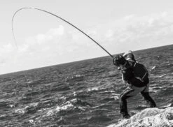 2018 Shimano Basis ISO BG -Visuitrusting Winkel img 01