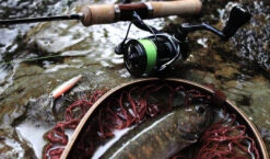 2019 Shimano Vanquish (NEW SIZES) -Visuitrusting Winkel img main02