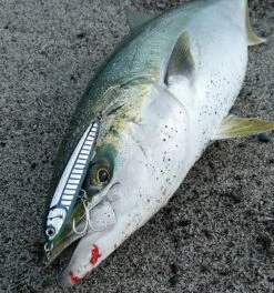 2020 Maria Rerise 105mm 40g -Visuitrusting Winkel img rerisesss105 01