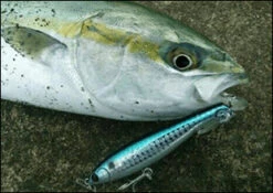 Maria Fla-Pen Blue Runner 115mm 38g 25 Maria Fla-Pen Blue Runner 115mm 38g -Visuitrusting Winkel img sec2 02