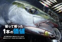 Maria Fla-Pen Blue Runner 85mm 28g 24 Maria Fla-Pen Blue Runner 85mm 28g -Visuitrusting Winkel mv blue runner 01 b6ca69d4 88ff 4f9a ab15 7733a3bc849a