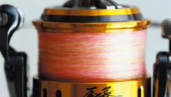 2018 Daiwa Onaga Monster 4000D LBD -Visuitrusting Winkel ph003