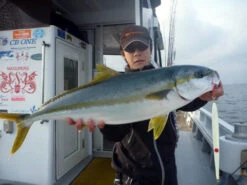 MC Works Real Fusion RF601LR (Special Model) -Visuitrusting Winkel real fusion 601LR SP thumbnail