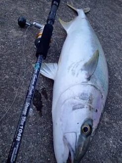 MC Works 2022 Strange Blue SBL107R -Visuitrusting Winkel sbl104r c5699c14 f080 4535 ba01 123125e4e960